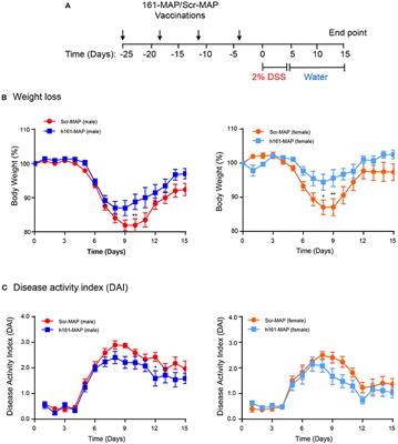 Active Vaccination With EMMPRIN-Derived Multiple Antigenic Peptide (161-MAP) Reduces Angiogenesis in a Dextran Sodium Sulfate (DSS)-Induced Colitis Model